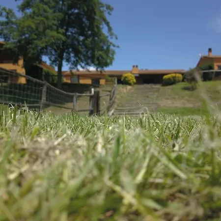 La Vina. En El Campo 托尔德拉