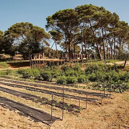 La Vina. Casa Rural En El Campo Tordera